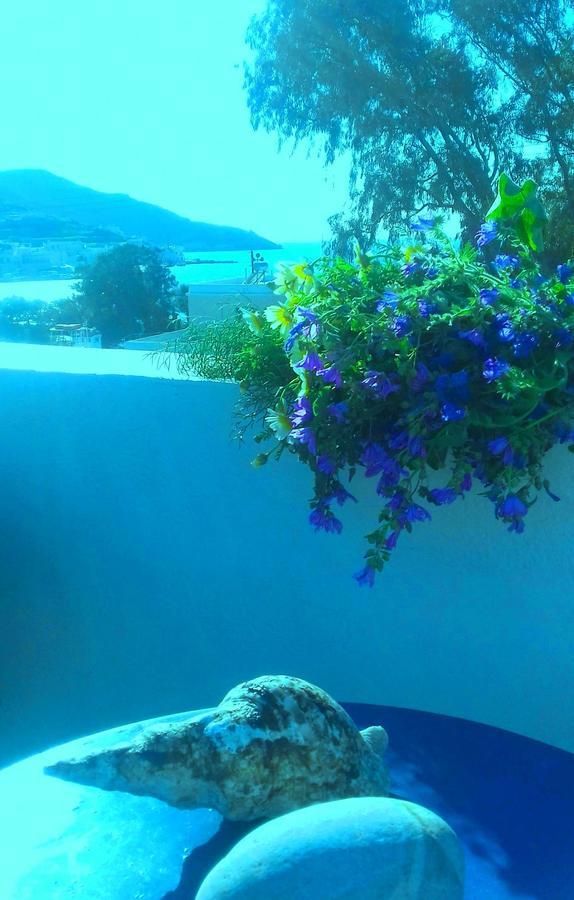 Angeliki Appartement